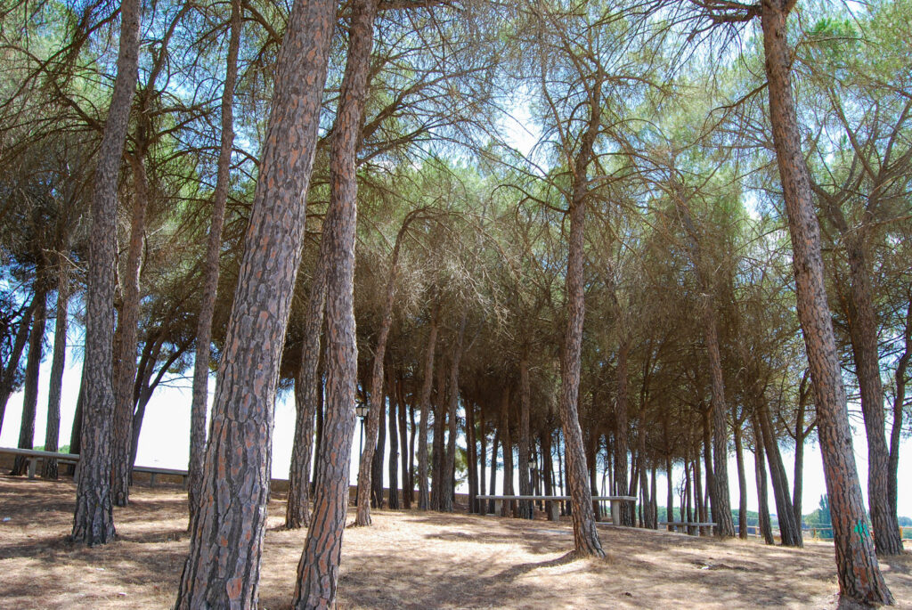 El Peral, nuestro pueblo | Cueva de Cirondo